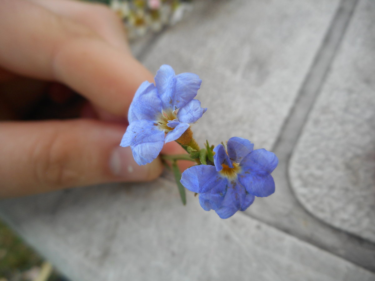 DSCN4985.JPG