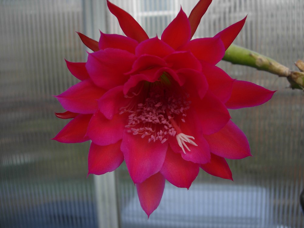 DSCN5029.JPG