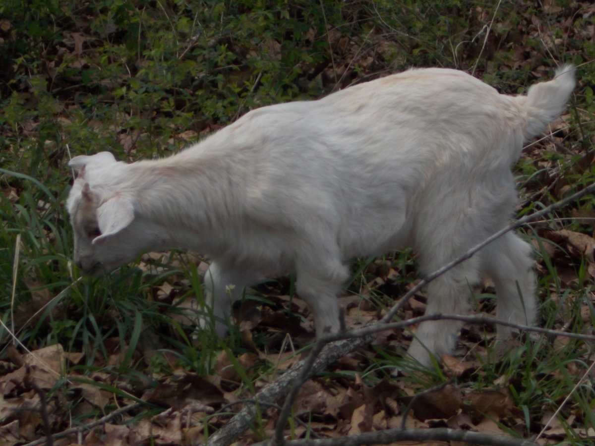 DSCN5035.JPG