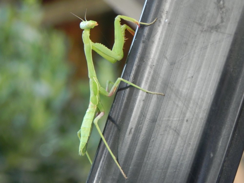 DSCN5563.JPG