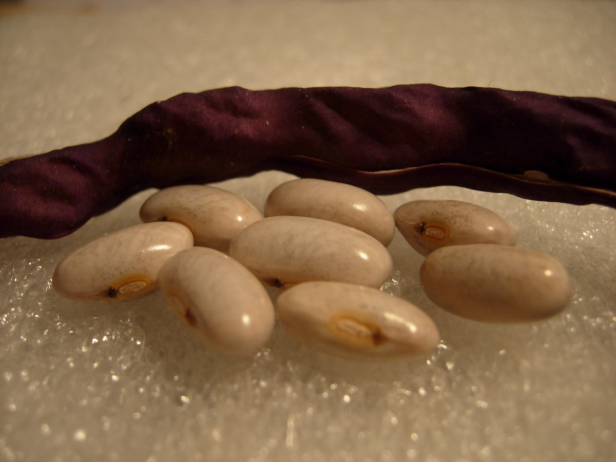 DSCN5727.JPG