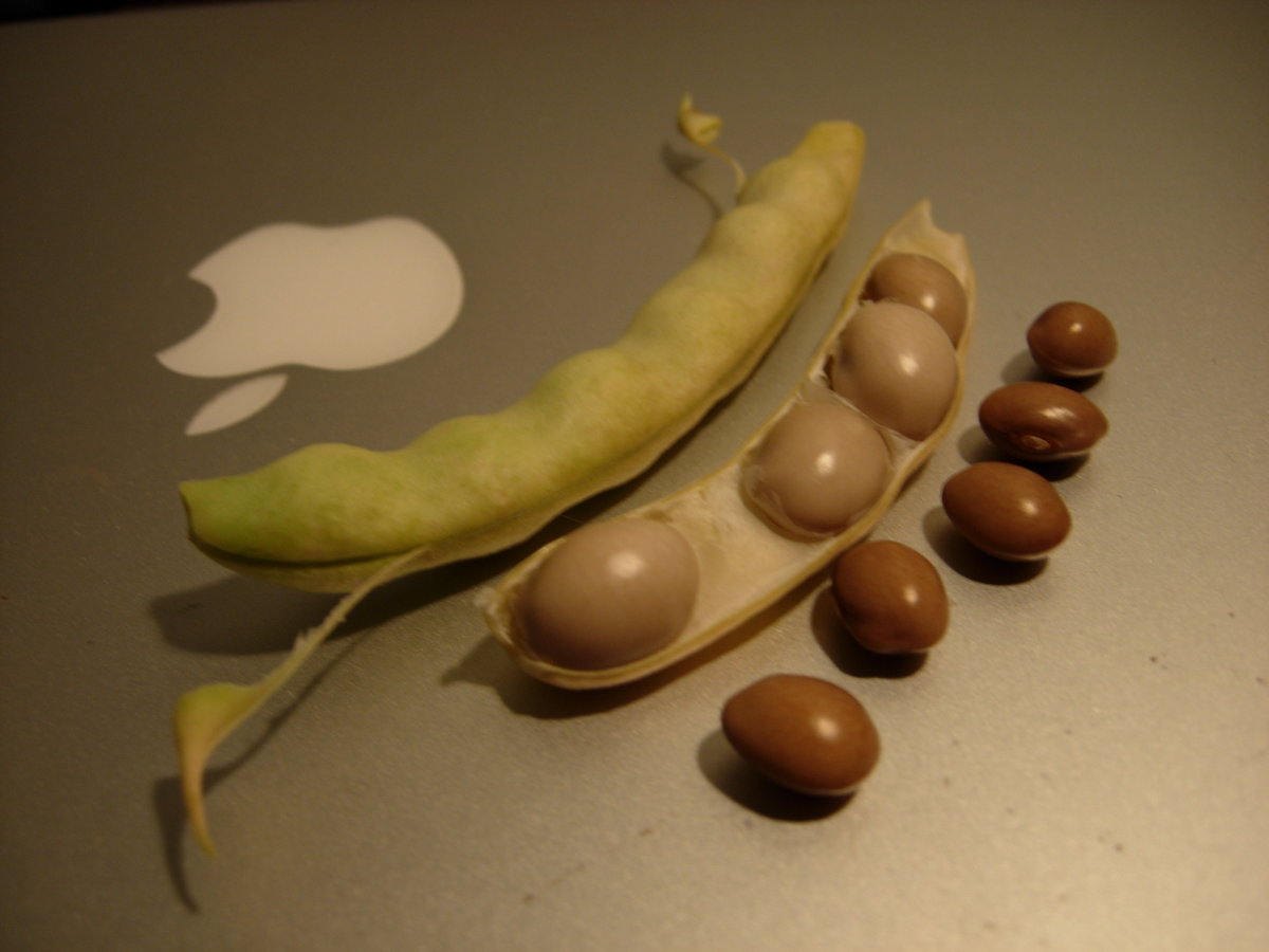 DSCN5735.JPG