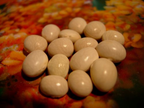 DSCN5831.jpg