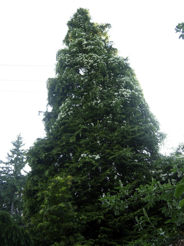 DSCN6082.JPG