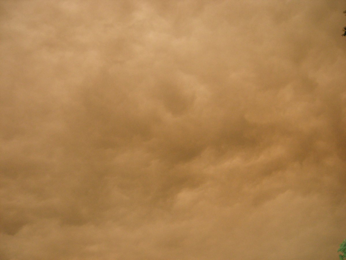 DSCN6134.JPG