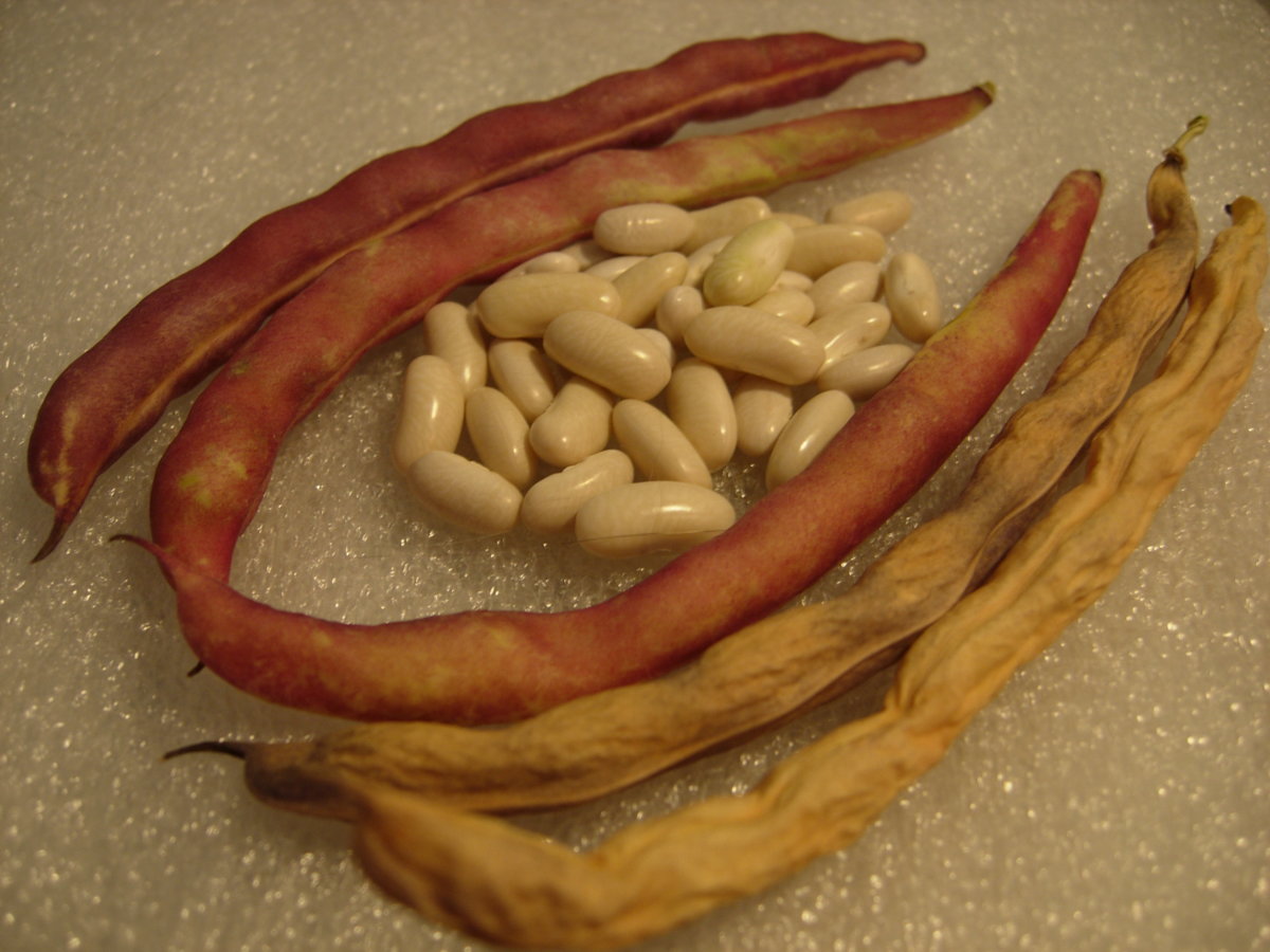 DSCN6285.JPG