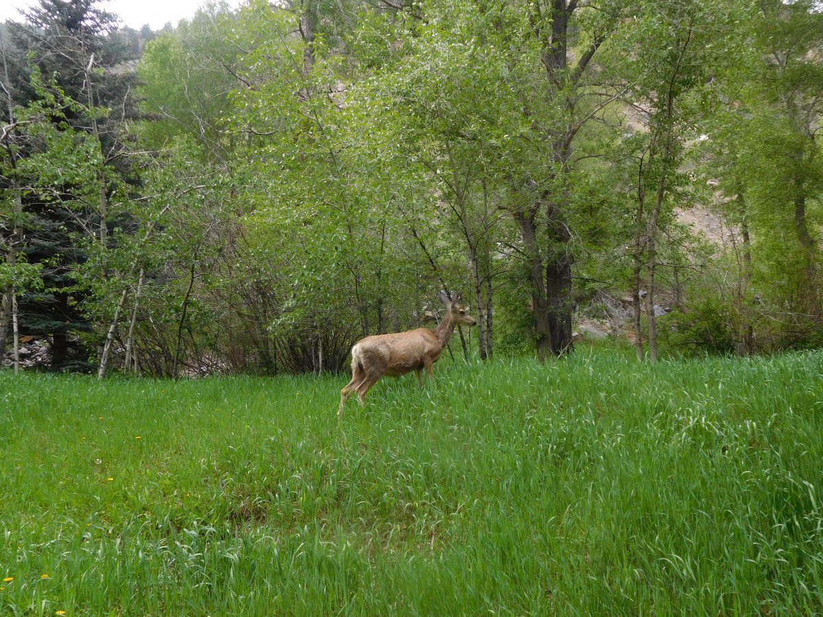 DSCN6337.JPG