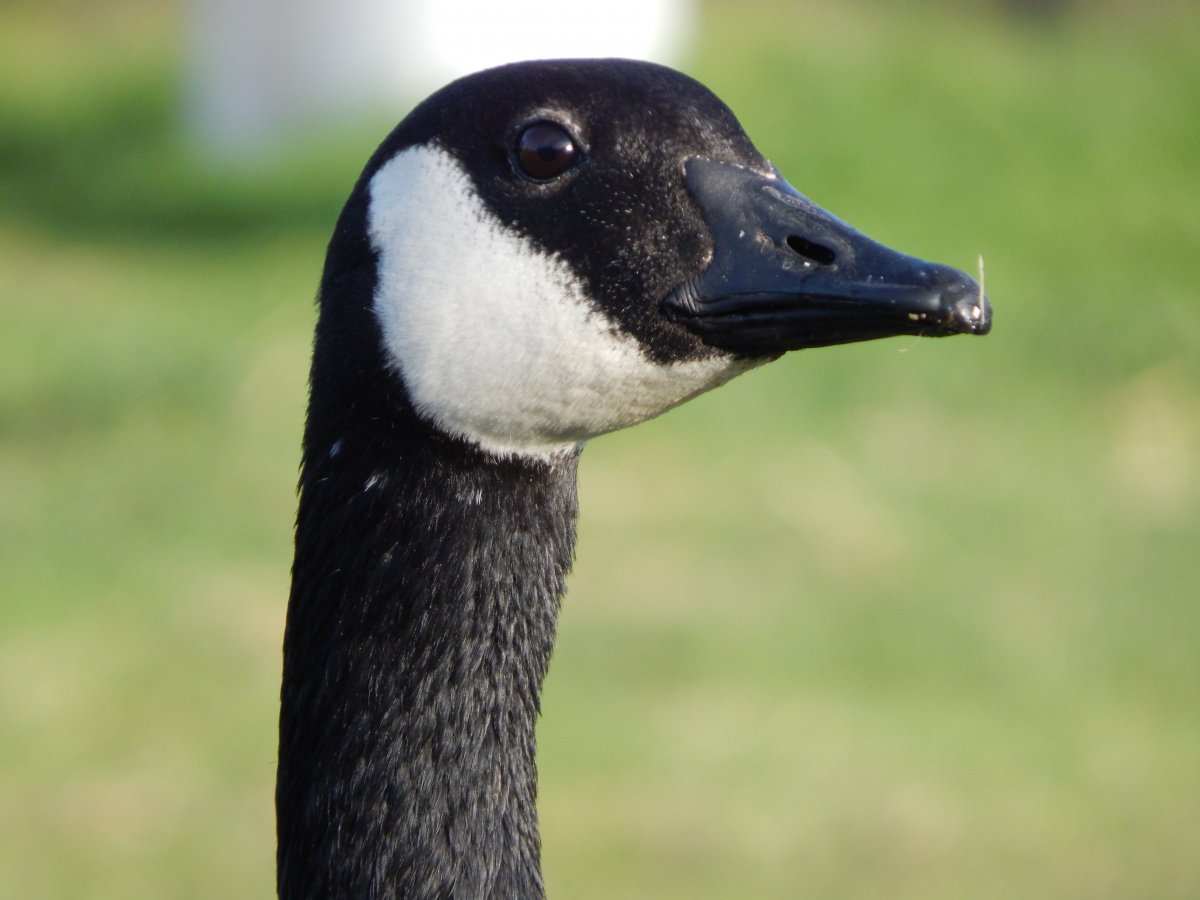 DSCN6879.JPG