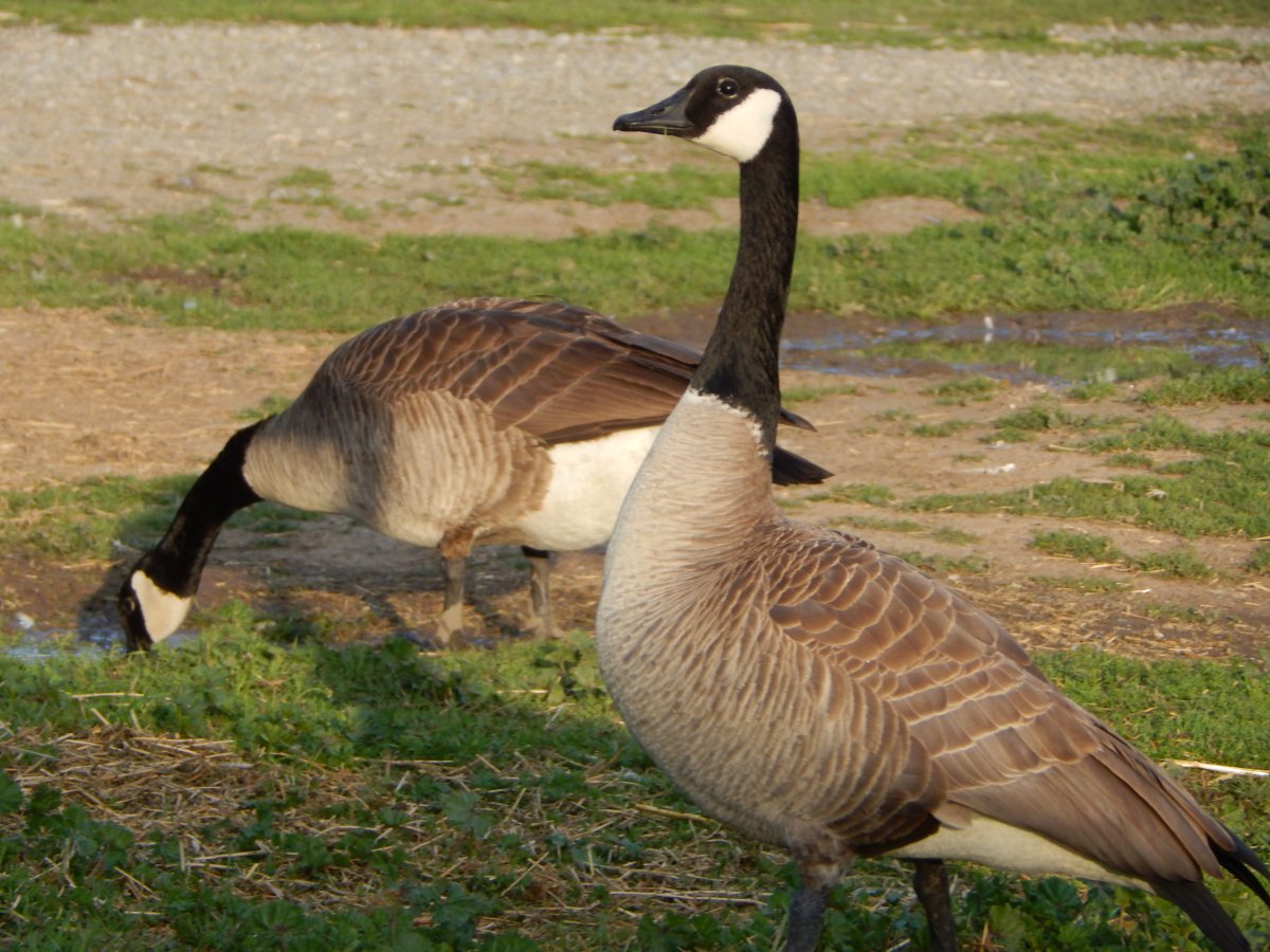 DSCN6904.JPG