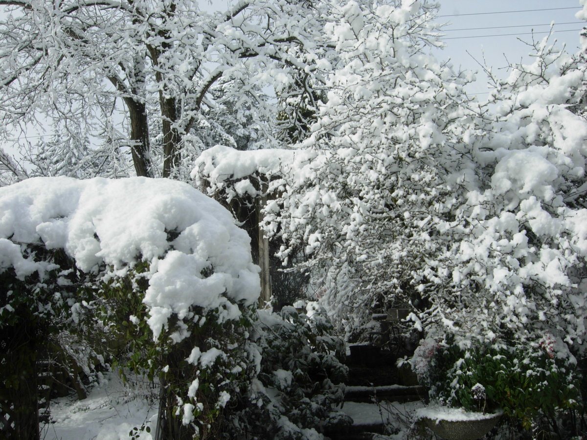 DSCN7133.JPG