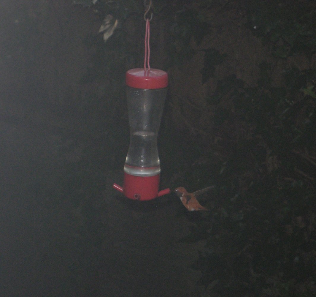 DSCN7206.JPG