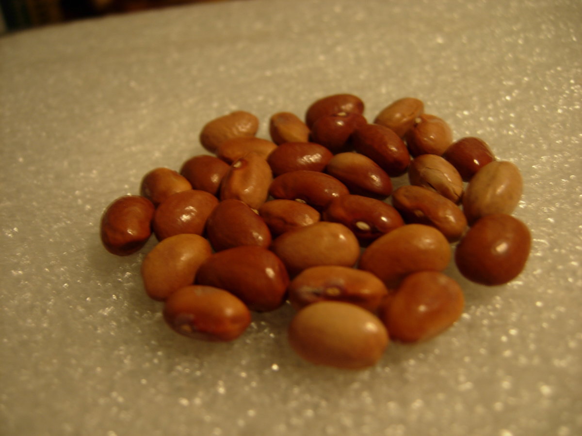 DSCN7213.JPG