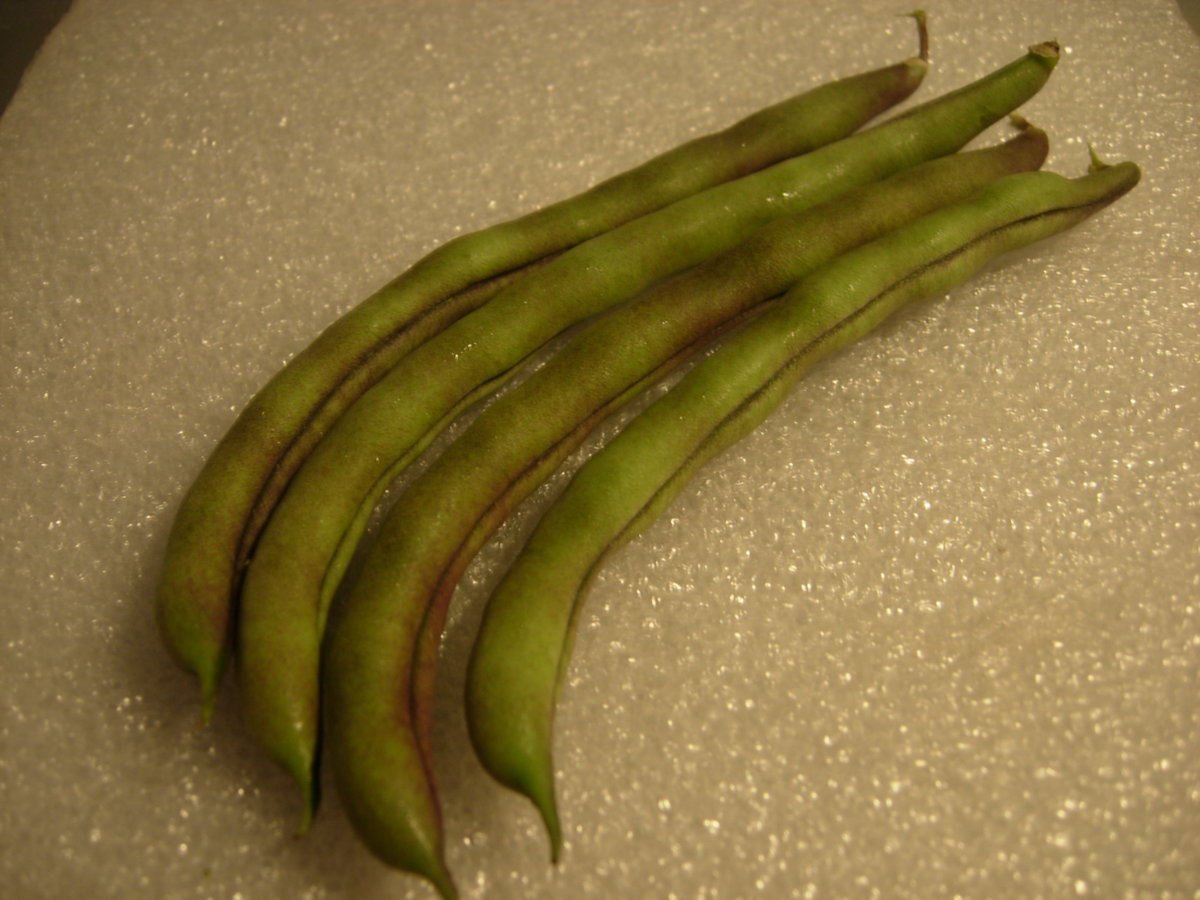 DSCN7351.JPG