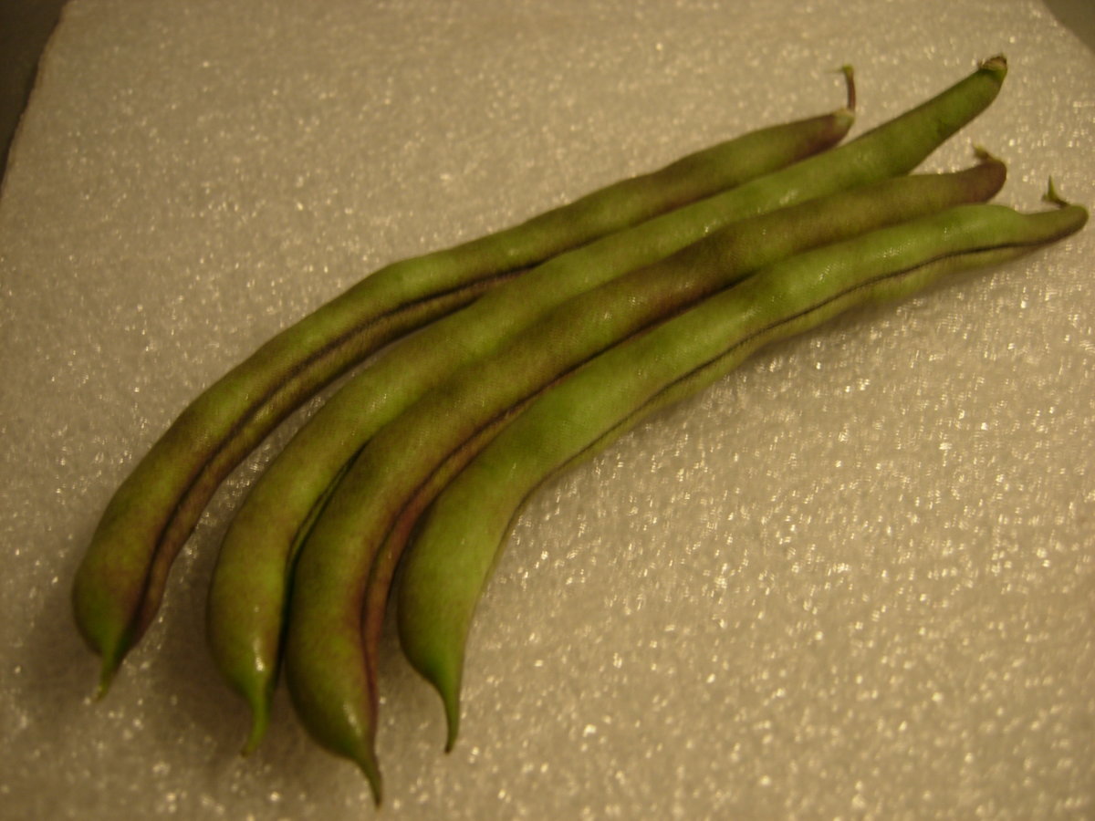 DSCN7352.JPG