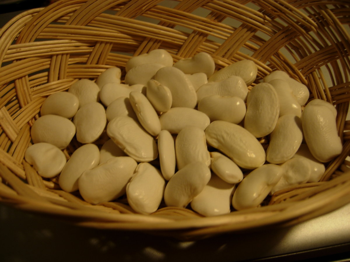 DSCN7362.JPG