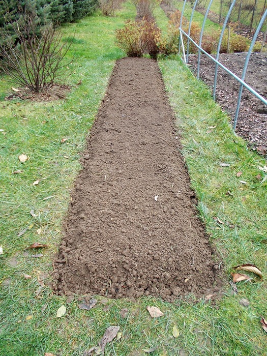 DSCN7665.jpg