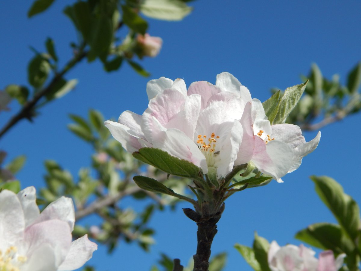 DSCN9755.JPG