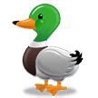 duck.jpg