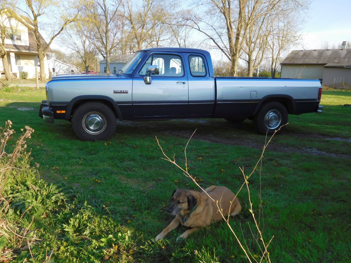 Duck Truck#1.jpg