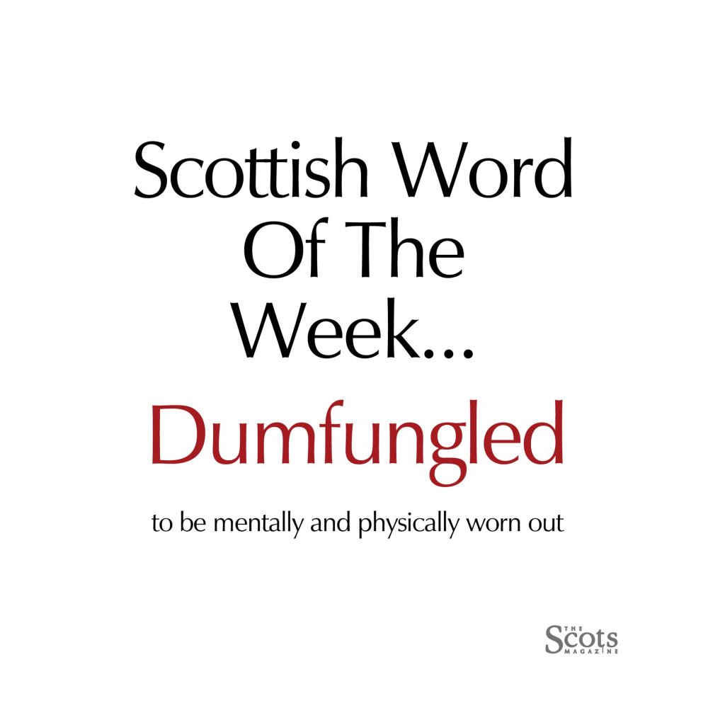 dumbfungled.jpg