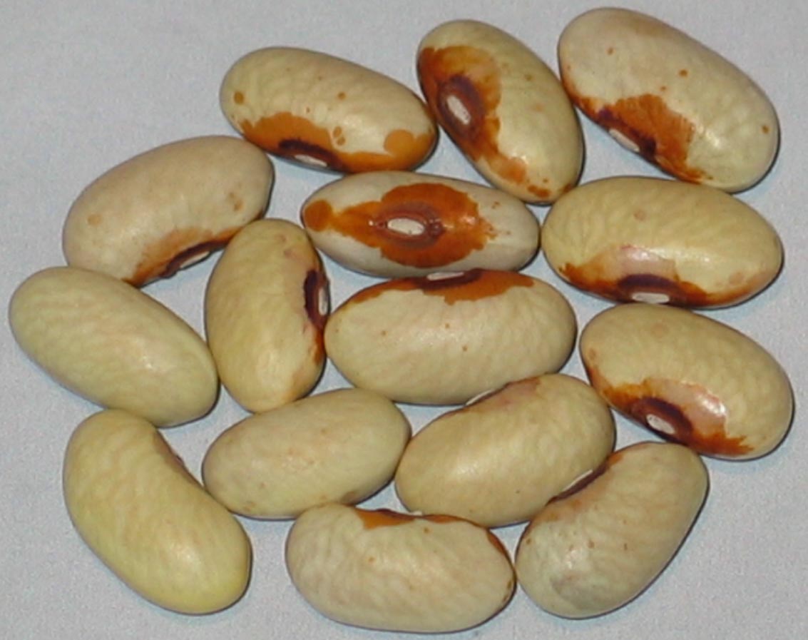 Eagle Bend kb.jpg