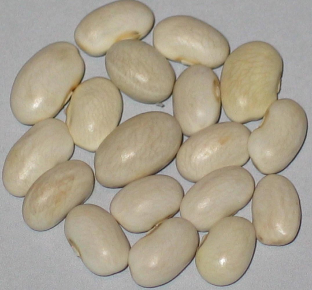 eagle island white.jpg
