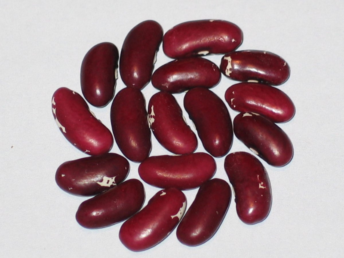Early Vermillion.JPG