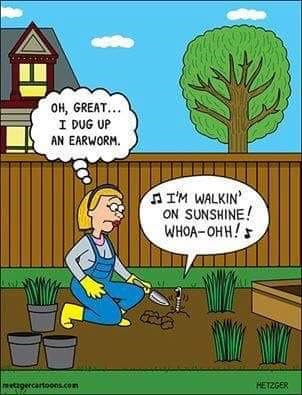 earworm.jpg