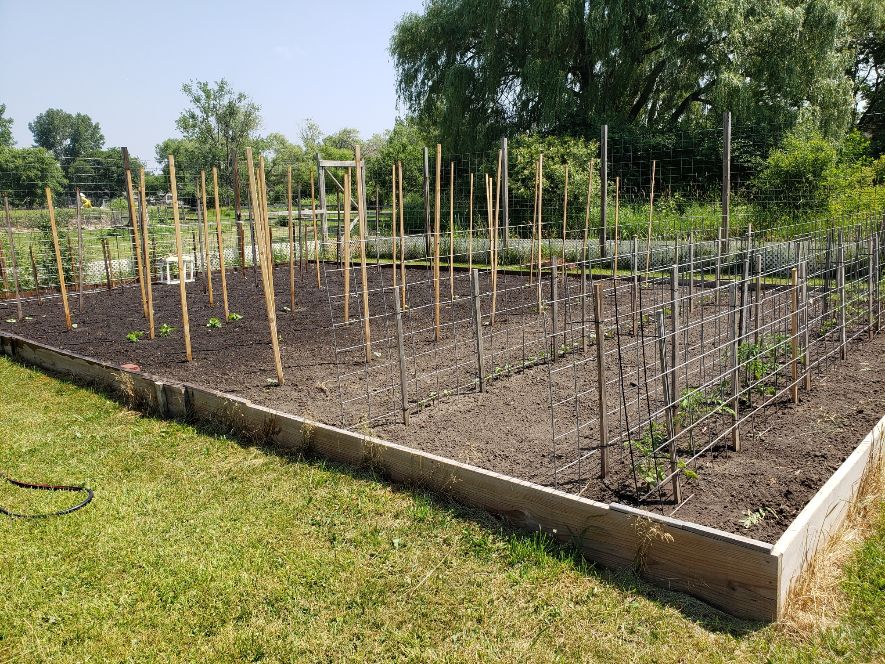 East Bed June 21 2023.jpg