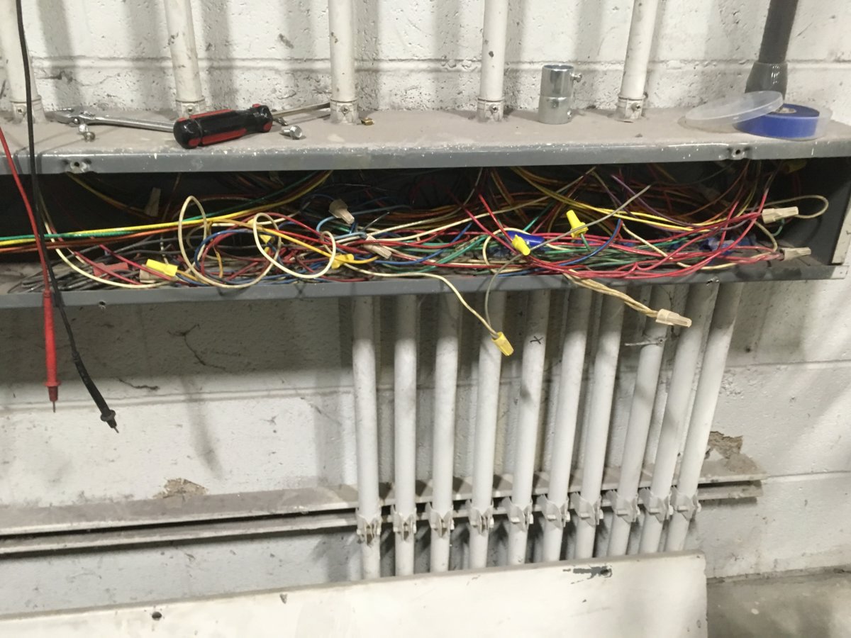 EBC74DFD-5190-46CA-BAA2-1B4B23567FB6.jpeg