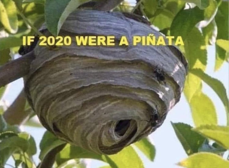 EbjRrQoWsAI88EI.jpeg