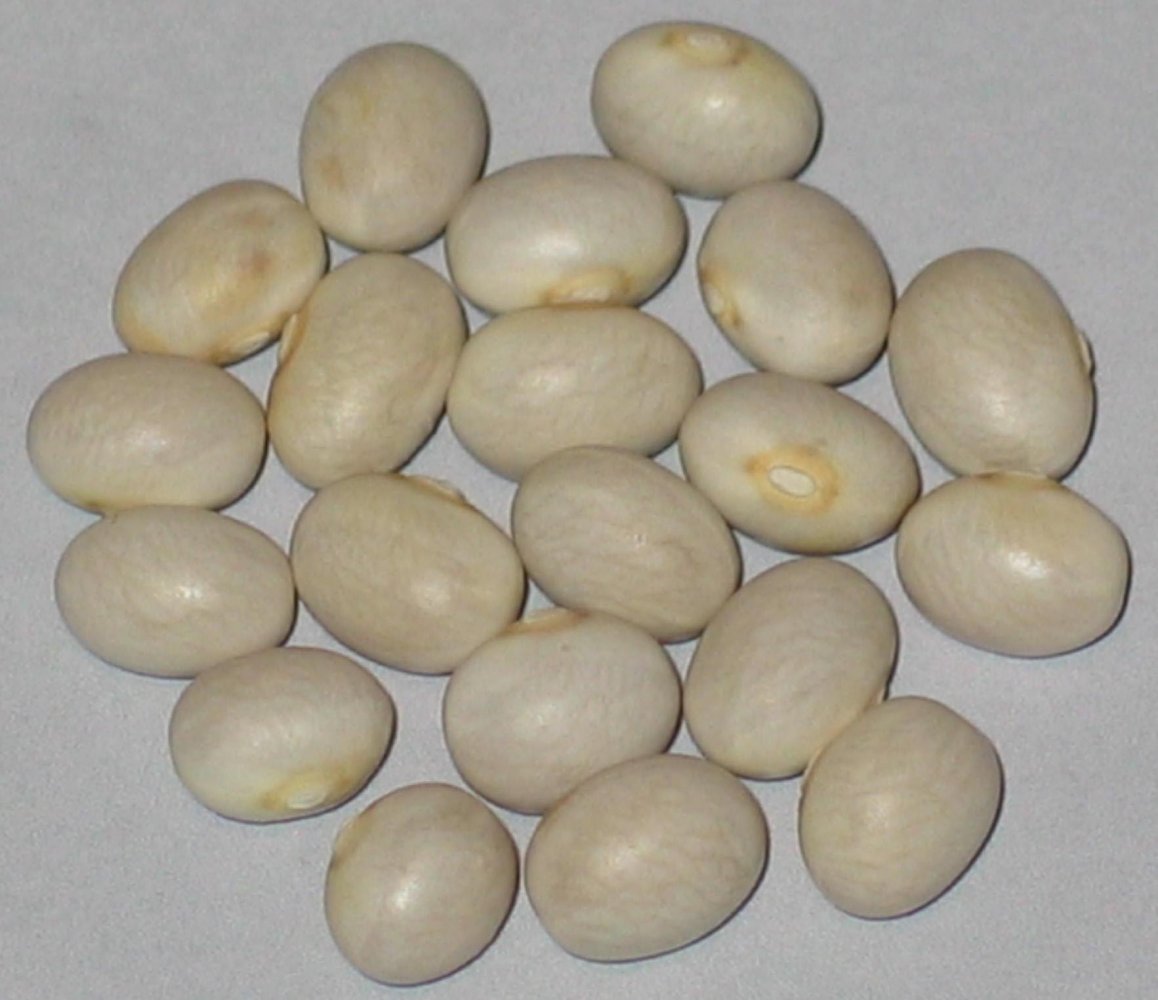 eden lake pearls.jpg