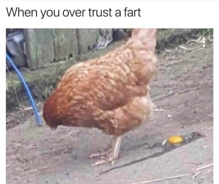 egg fart.jpg