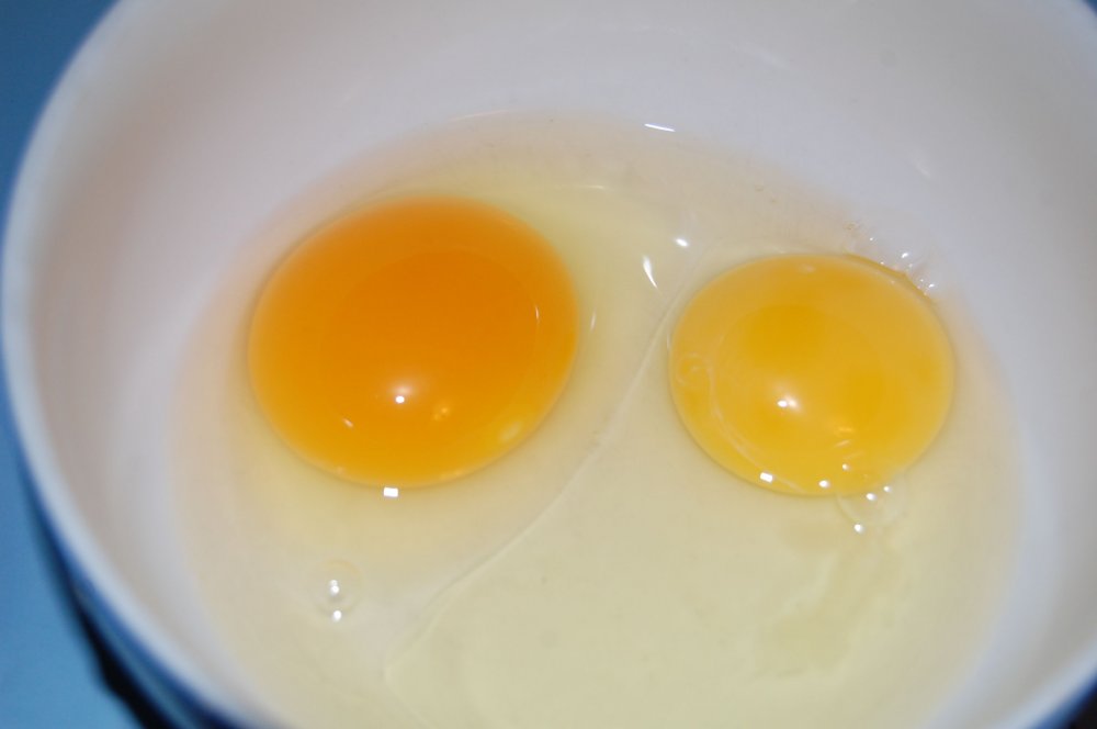 eggs.jpg
