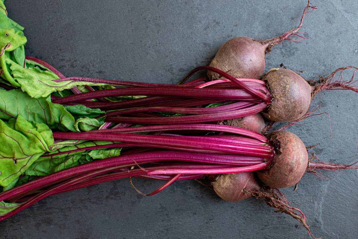 The 10 Easiest Vegetables to Grow In Your Garden From Seeds