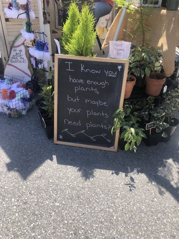 enough plants 2.jpg