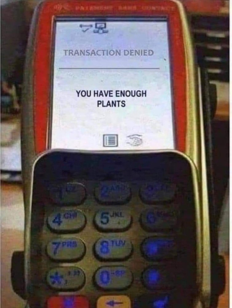 enough plants.jpg