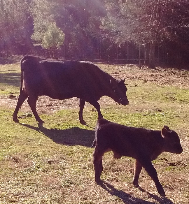Eva and Carter dec 2016.jpg