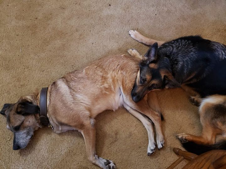 Eva loves Pyg, 03-20-22.jpg