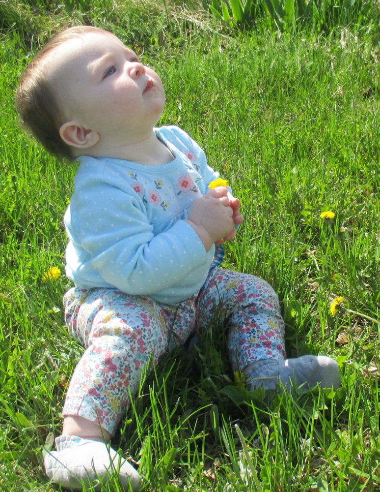 Evelyn looking up.jpg