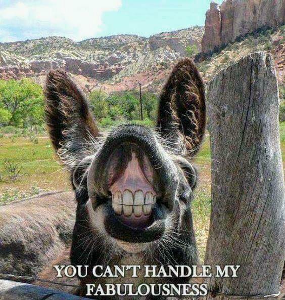 fabulous smile.jpg