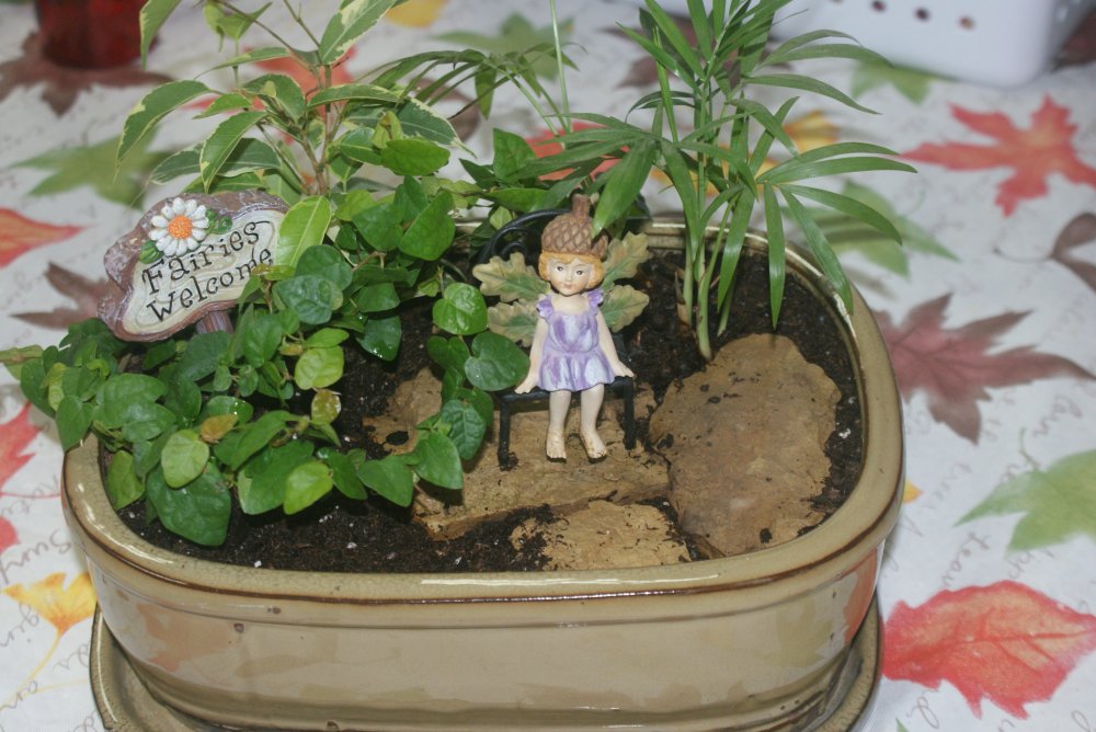 fairy garden.JPG