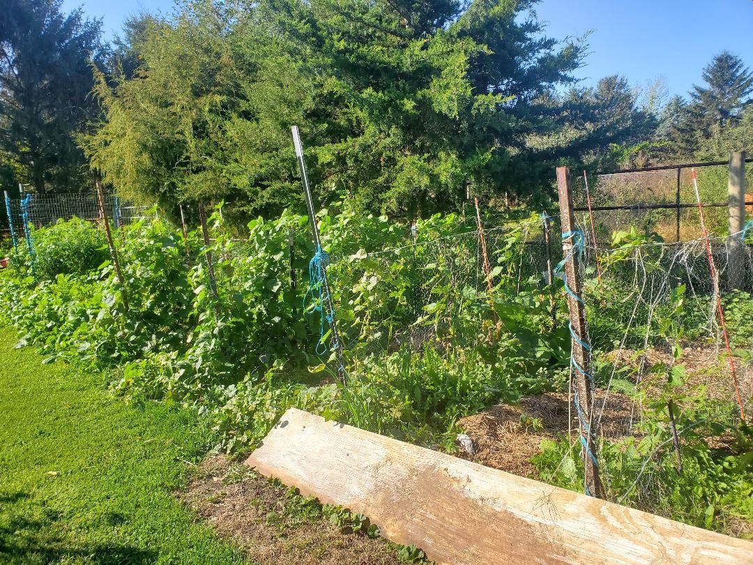 Fall garden, 10-11-23#1.jpg