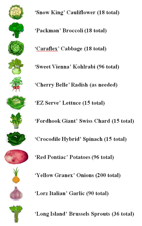 Fall_Garden_Lineup.jpg