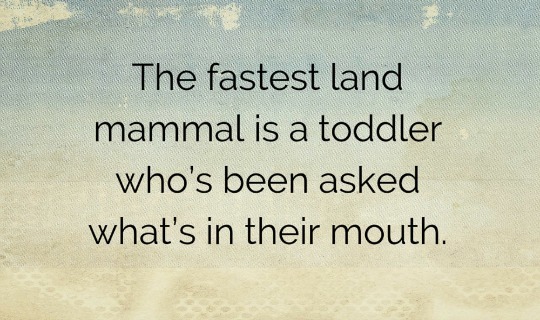 fast toddler.jpg