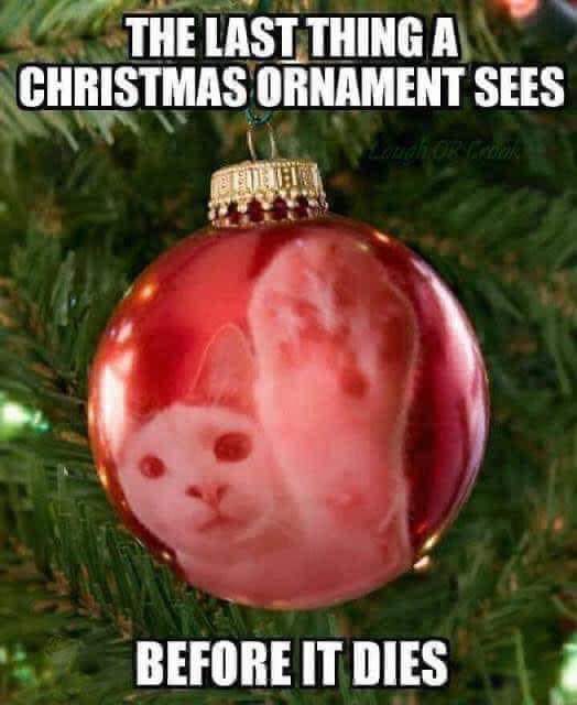FB_IMG_1670167131929.jpg