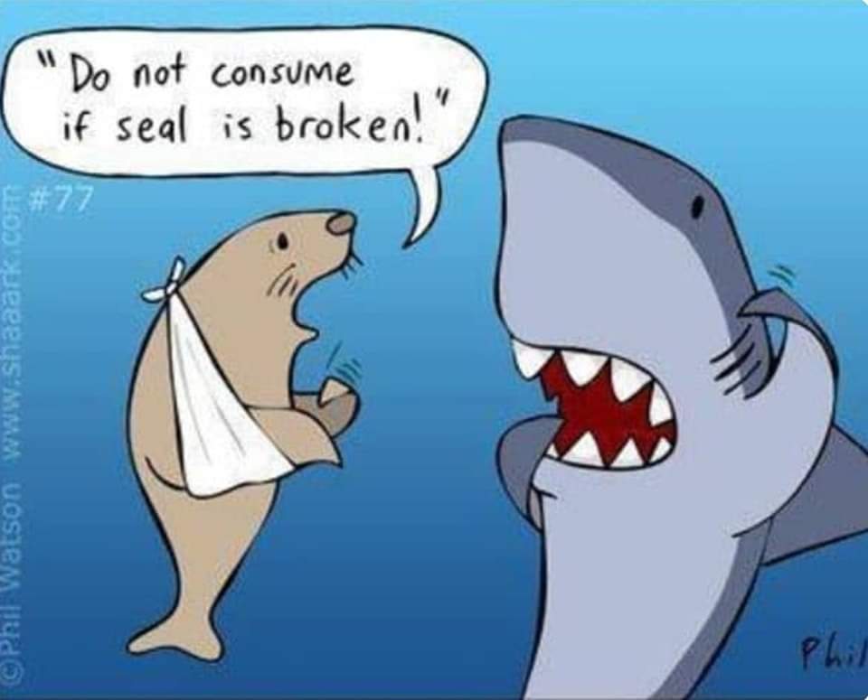 FB_IMG_1674643295683.jpg