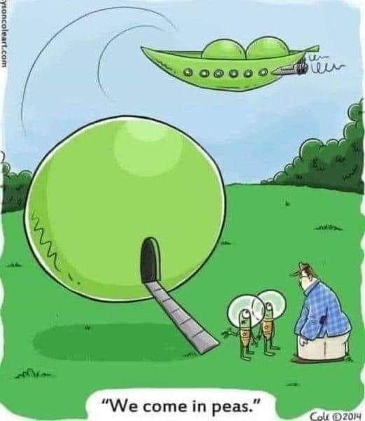FB_IMG_1677648728176.jpg