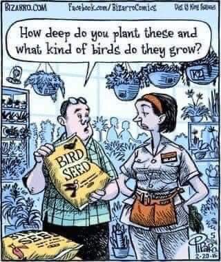 FB_IMG_1678602601472.jpg