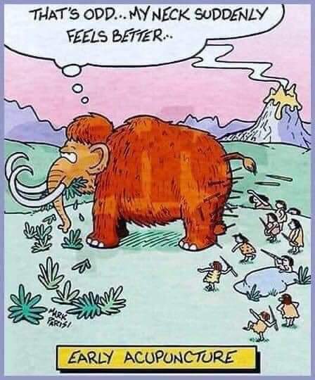 FB_IMG_1682998089480.jpg